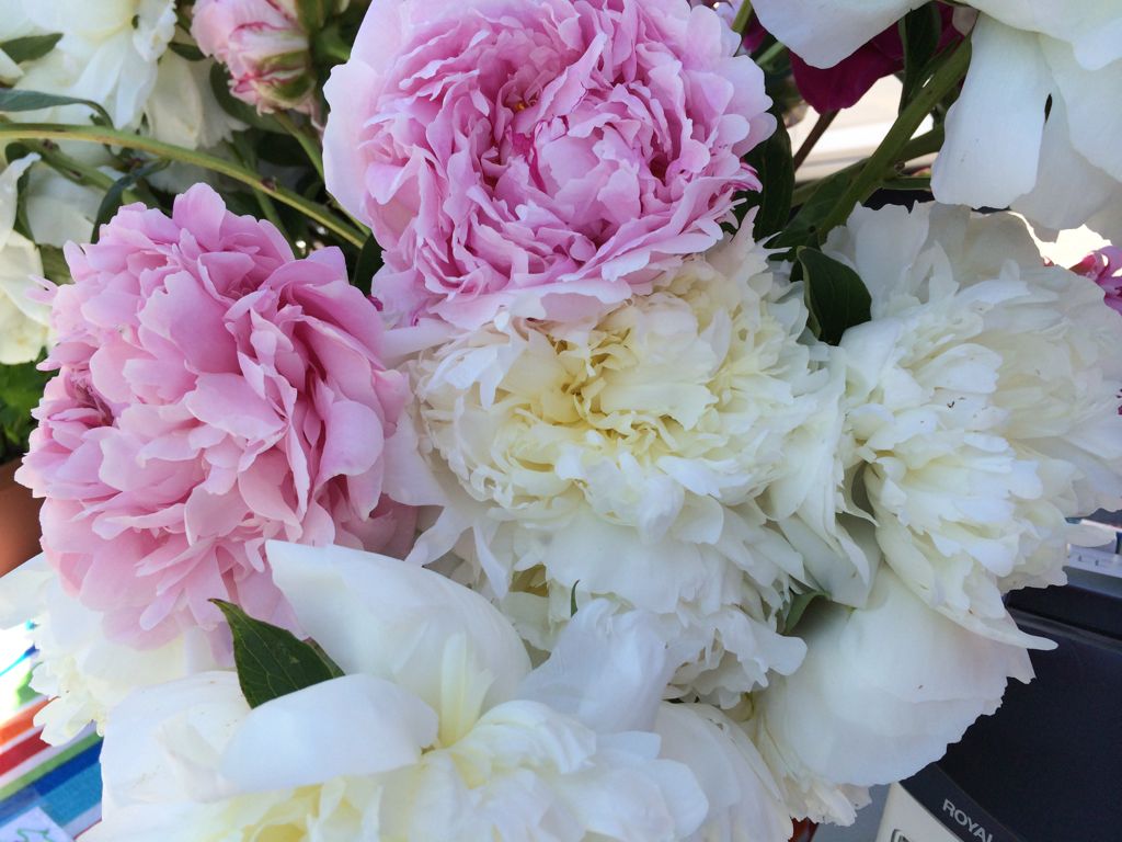 Farmer's Market peonies
