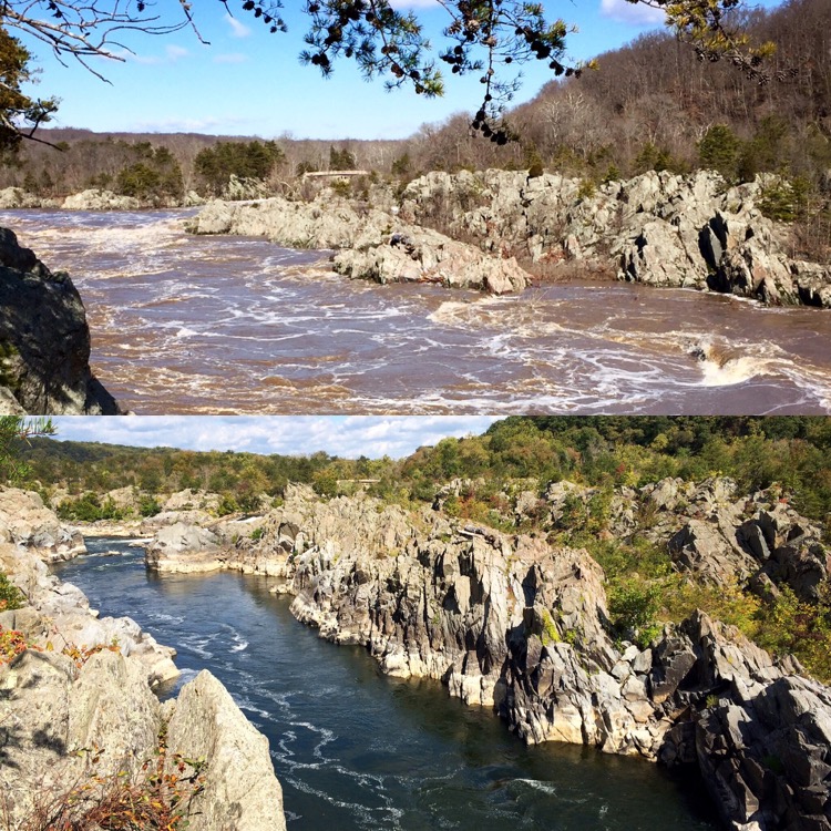 Compara i livelli del fiume a Mather Gorge Great Falls Virginia