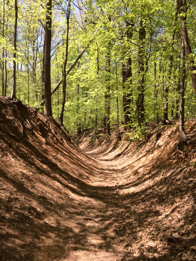 Bull Run access trail Clifton