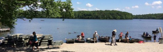 Father’s Day Events in Northern Virginia and Fun Things to Do with Dad All Year Burke Lake Marina