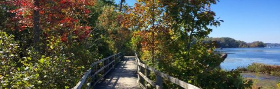 Fantastic Ways to Celebrate Fall in Northern Virginia Bay View Trail boardwalk Mason Neck SP