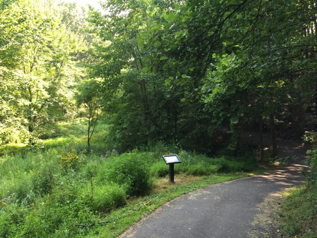 Paved trail in the Glade Stream Valley