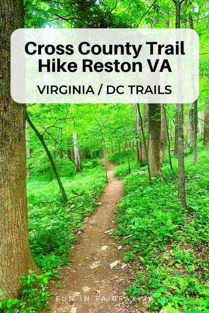 Hike or bike Fairfax CCT segment 8 to explore woodland trails in the Difficult Run Stream Valley, a section of the W&OD, and paths in Reston Virginia.