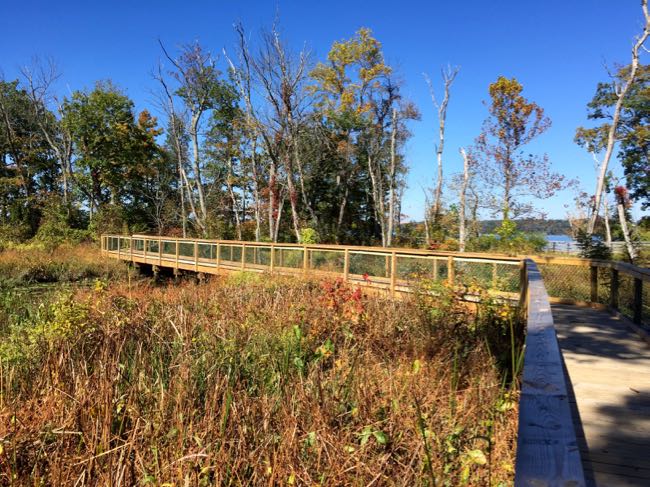 Marsh boardwalk Mason Neck SP