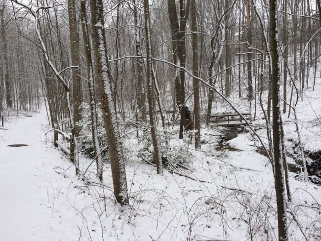 Snow on the CCT Twin Branches Trail in Reston VA