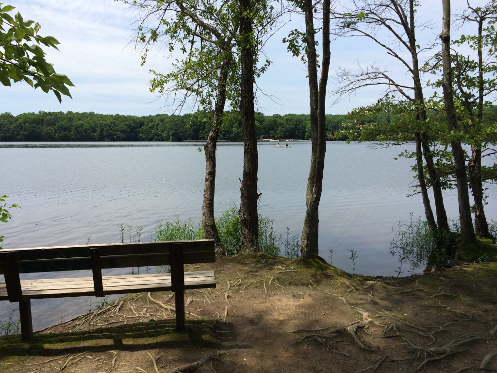 Around Burke Lake Fun in Fairfax VA