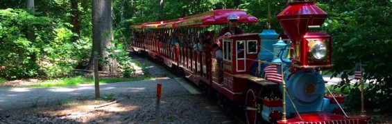 Around Burke Lake Burke Lake train