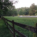 CCT seg7 horse farm