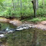 CCT seg7 stream crossing