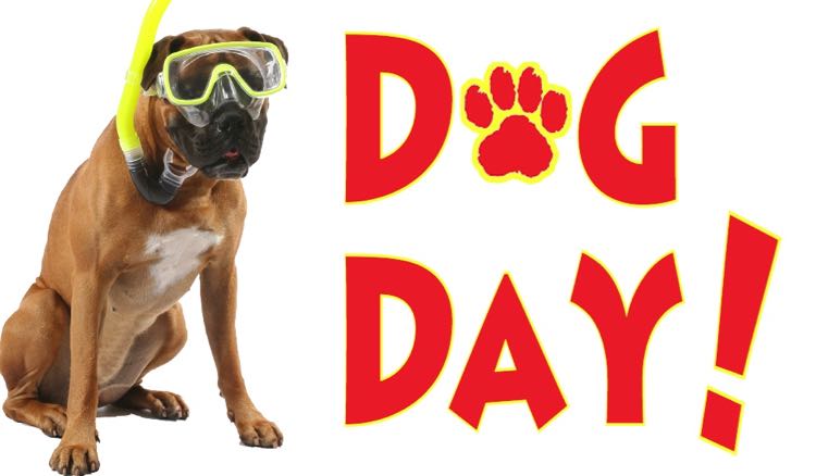 Dog Day NOVA Waterpark