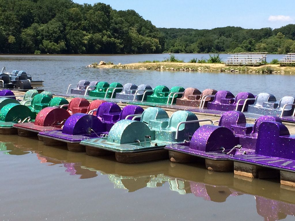 Lake Accotink paddle boats