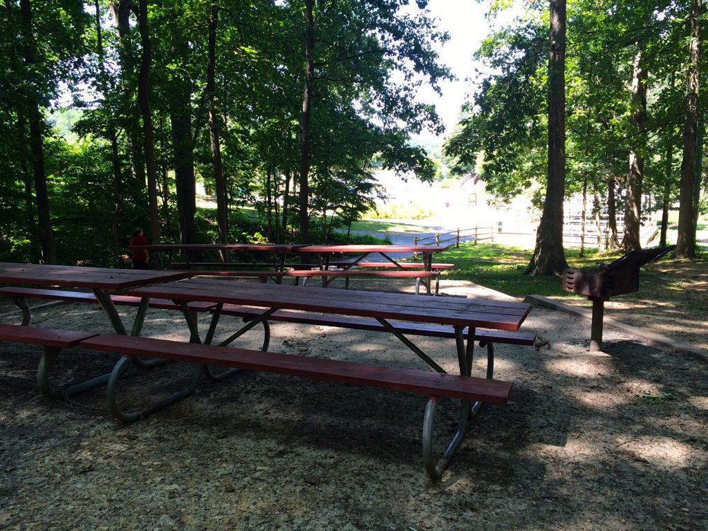 Lake Accotink picnic area