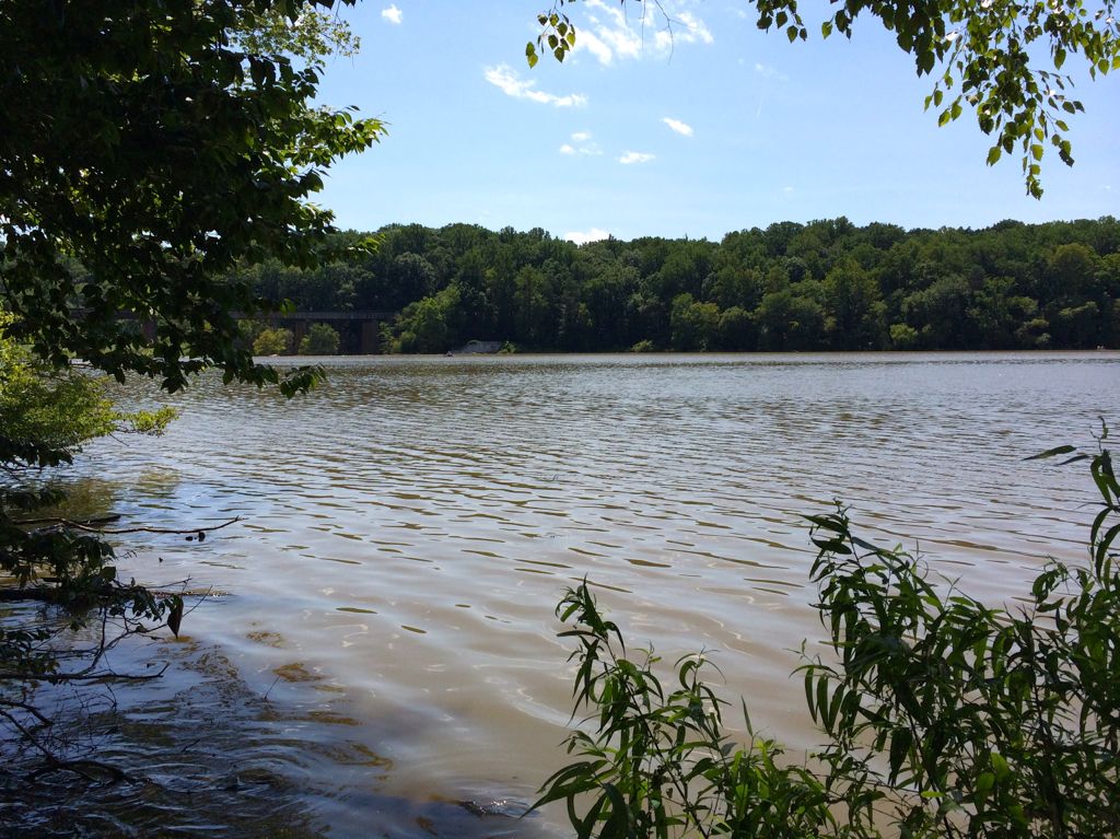 Lake Accotink viewpoint