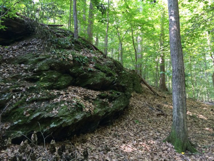 Exposed ledge on the orange trail at Seneca Regional Park