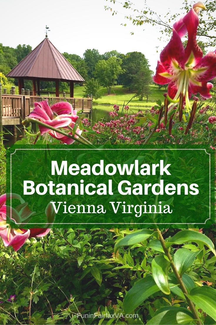 garden tours northern virginia