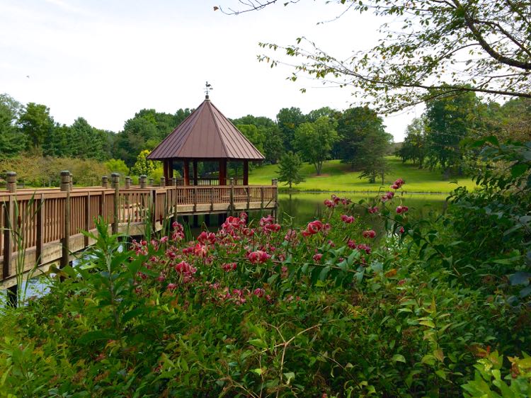 Visit Meadowlark Botanical Gardens For Year Round Beauty In