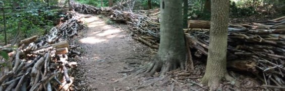 Hike Seneca Park and the Potomac Heritage Trail in Northern VA Trailhead in Seneca Regional Park, Great Falls VA