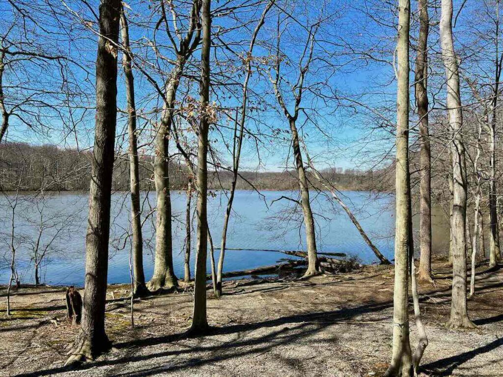 Winter View of Lake Accotink in Northern Virginia