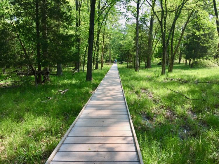 Boardwalk near the Stone Bridge Manassas Battlefield NP