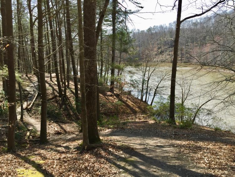 Bull Run Occoquan Trail north of Bull Run Marina