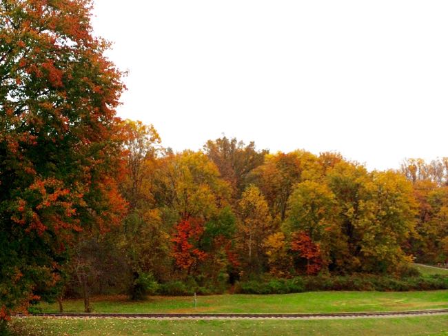 Fall foliage at Burke Lake Park