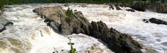 8 Great Things to Do in Great Falls Virginia and Tips for Your Park Visit Great Falls National Park, Virginia