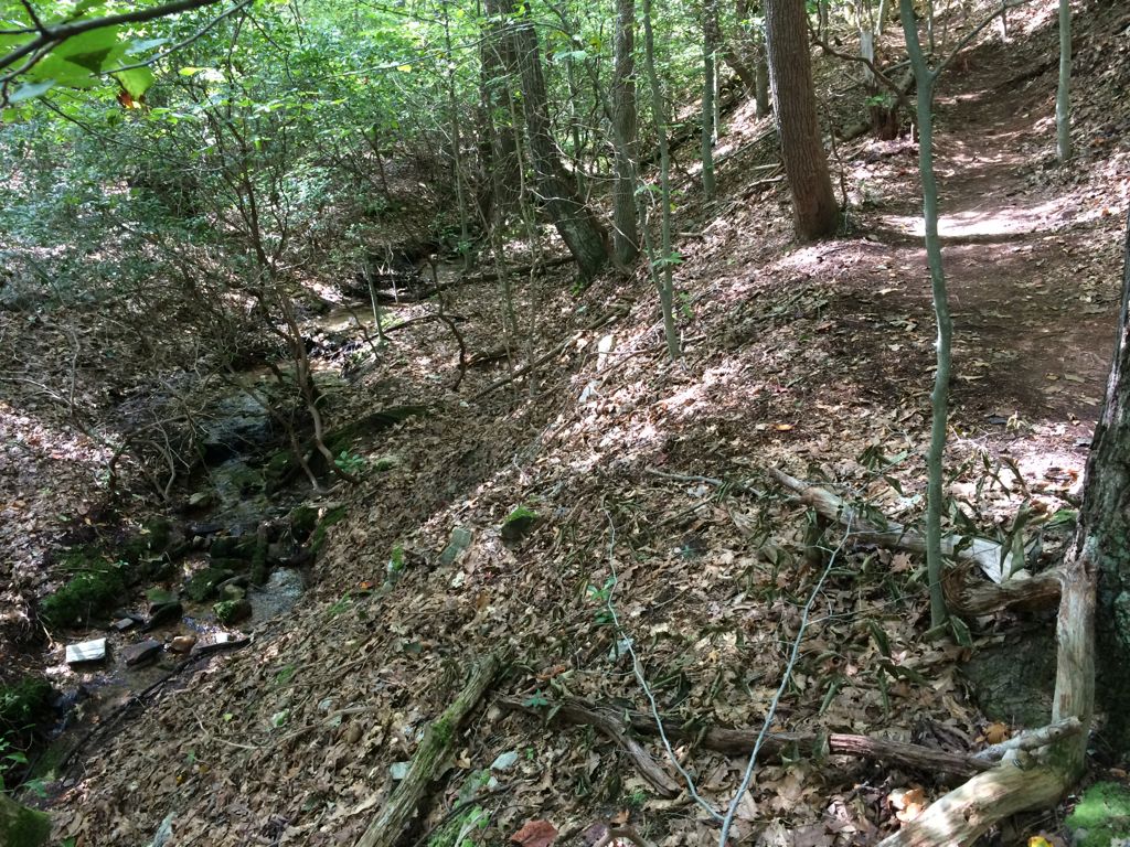 Hickory Trail stream Bull Run Mtn