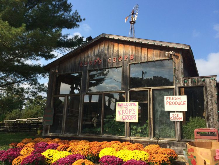 Krops Crops in Great Falls Virginia offers hay rides to the pumpkin patch on October weekends