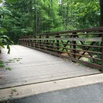 Long Branch SV bridge