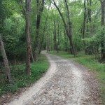 Long Branch SV trail 2