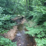 Long Branch Stream Valley