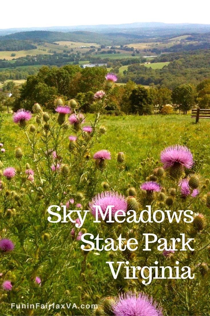 Sky Meadows State Park in Virginia, offers excellent hiking with beautiful views, plus star-gazing and family events, just an hour from Washington DC.