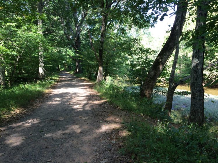 Trail next to Bill Run near the Stone Bridge