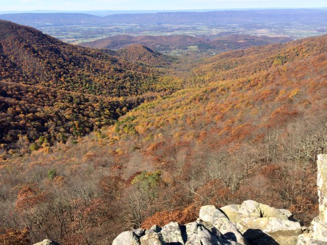 Widok z Crescent Rock w Parku Narodowym Shenandoah w Wirginii