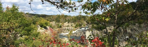 8 Great Fall Hikes in Northern Virginia Fall colors at Great Falls