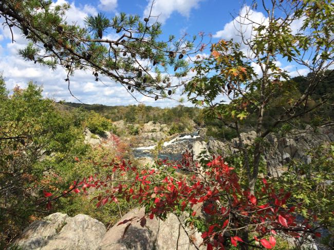 Fall at Great Falls