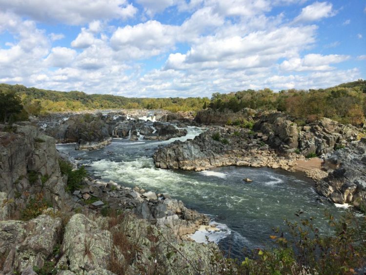 View of Great Falls from overlook 2