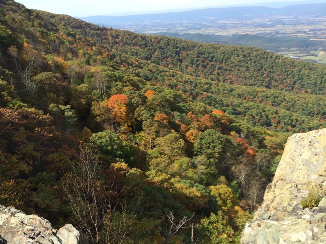 Feuillage du Shenandoah depuis Little Stony Man