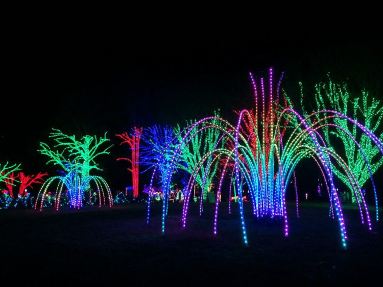 Meadowlark Gardens Winter Walk Of Lights Holiday Fun In Northern Va