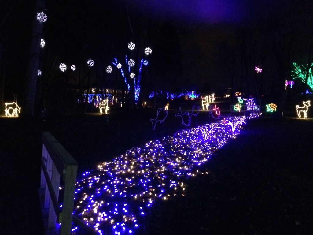 Meadowlark Gardens Winter Walk Of Lights Holiday Fun In