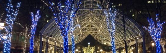 5 Fun Northern Virginia Ice Skating Rinks Ice skating at Reston Town Center
