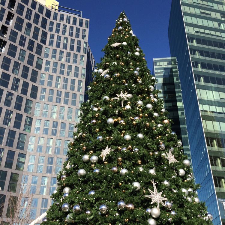 November 2017 Events in Northern Virginia Fun in Fairfax VA