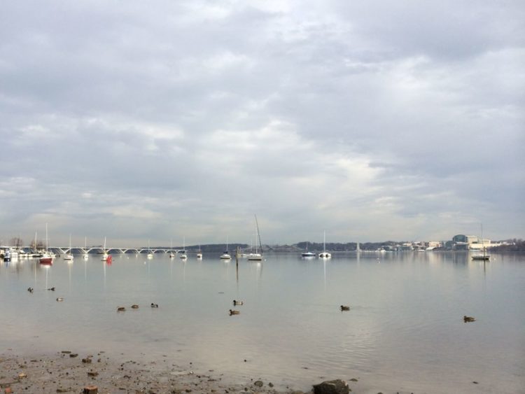 Winter view of Belle Haven Marina with the Wilson Bridge and National Harbor in the distance