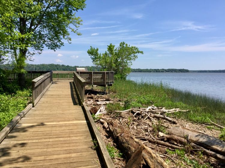 Dyke Marsh boardwalk and platform