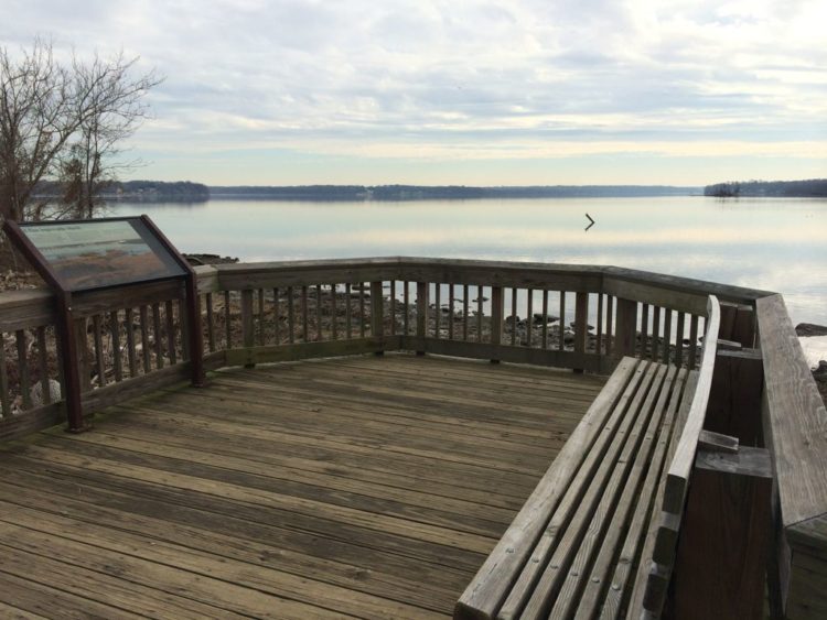 Platform view of the Potomac River and marsh in winter