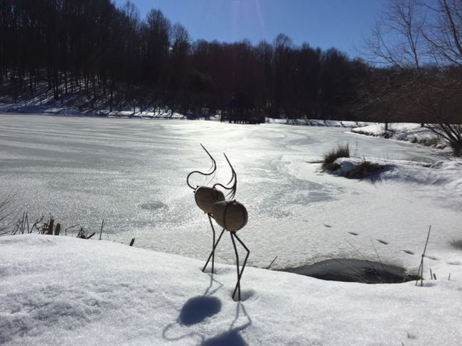 Frozen pond Meadowlark Gardens