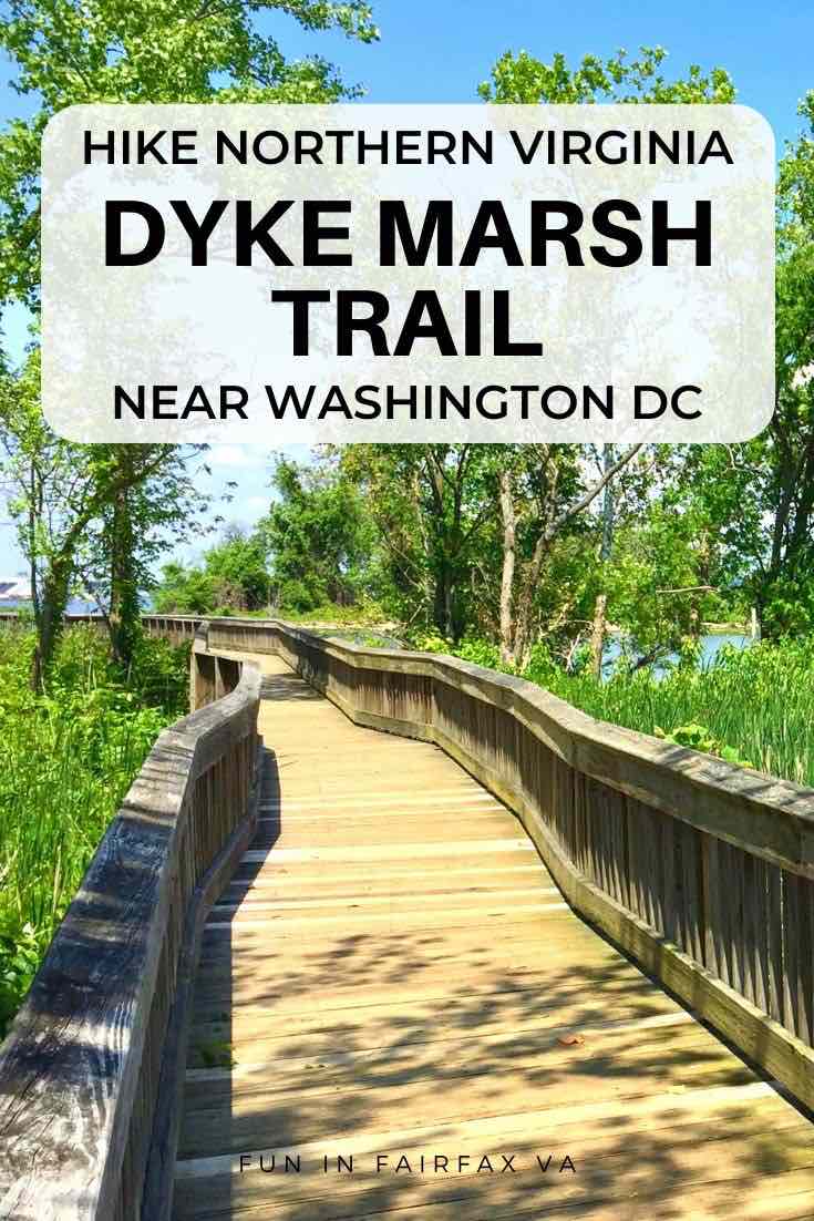 Hike through the Dyke Marsh Wildlife Preserve and part of the Mount Vernon Trail for beautiful views of a Potomac River tidal wetland near Washington DC.