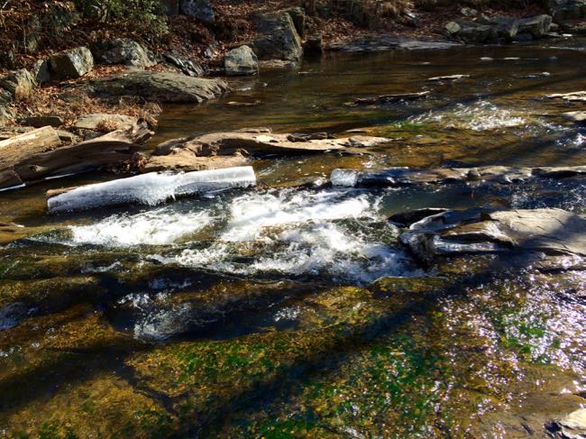 Ice-covered log in Quantico Creek, Prince William Forest