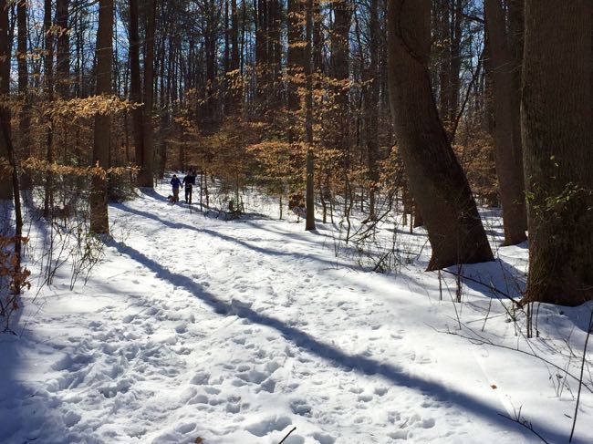 Snowy trail at Burke Lake Park