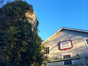 Ingleside Winery